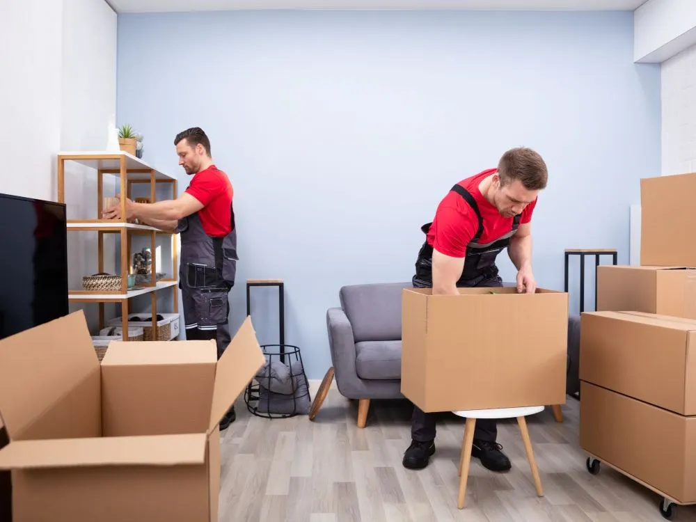 packers and movers in zirakpur