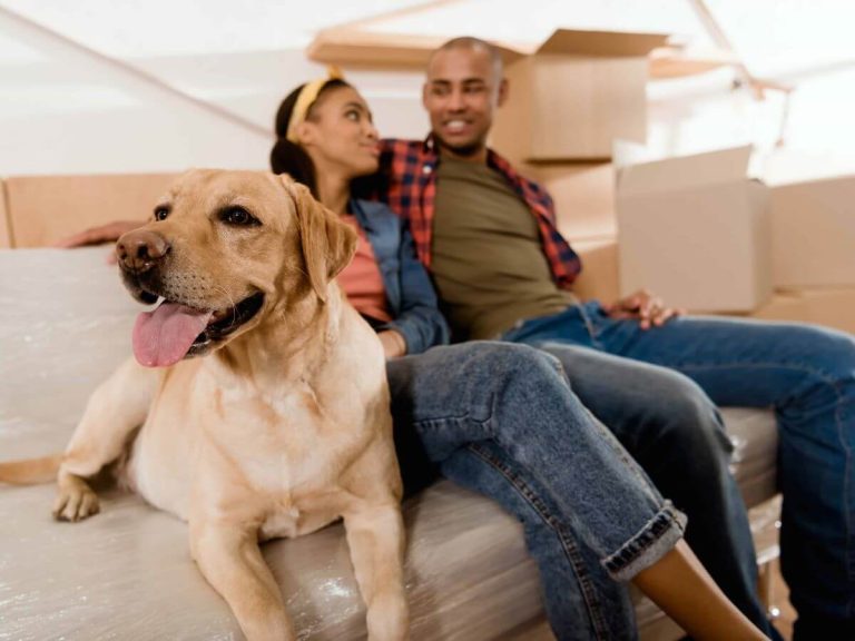 Moving with Pets: Top Tips for a Smooth Transition for Your Furry Friends